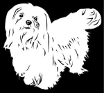 Maltese v3 Decal Sticker